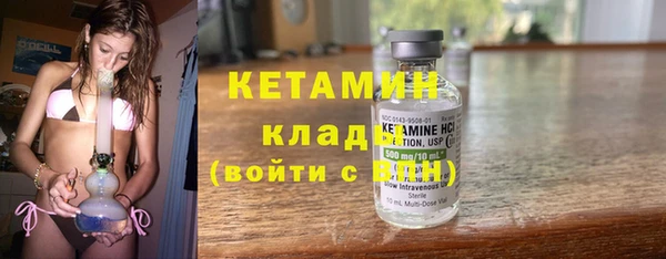 шишки Козельск