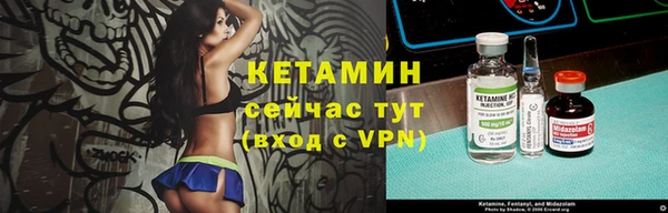трава Коряжма