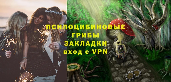 прущая мука Козловка