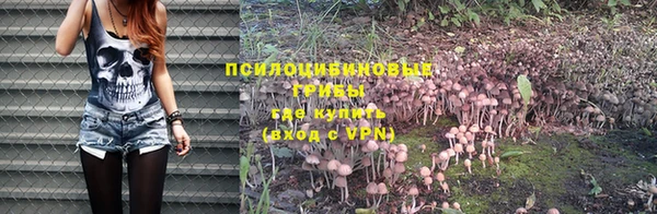 прущая мука Козловка