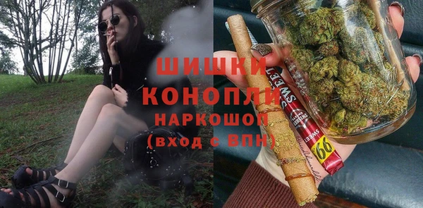 шишки Козельск