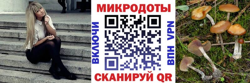 Псилоцибиновые грибы MAGIC MUSHROOMS  наркотики  Красноперекопск 