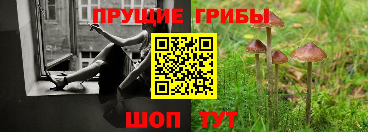 Галлюциногенные грибы прущие грибы Красноперекопск