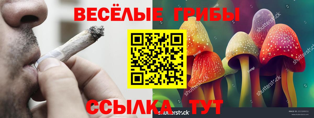 Красноперекопск  Псилоцибиновые грибы Psilocybe  Вход с VPN  Галлюциногенные грибы мухоморы 